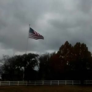 Meet your Posher, Ricky